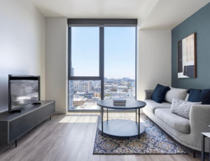 Soma 1Br W Rooftop Bbq Concierge Nr Bart Sfo-1431 - San Francisco